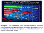 PAGE 4 / RECENSEMENT - LES CAUSES ET LES EFFETS