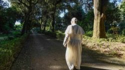 Papa Leone XIV nel Borgo Laudato si' di Castel Gandolfo