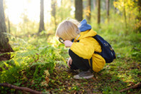 a young boy in a yellow rain jacket is in a forest. He is crouching down looking at the floor through a magnifying glass