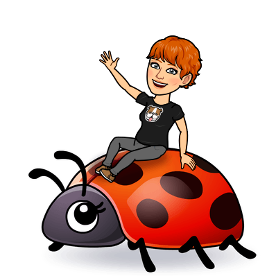 a-Pam-Ladybug-Ride