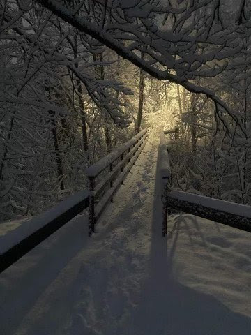 Winter-Snow-Bridge