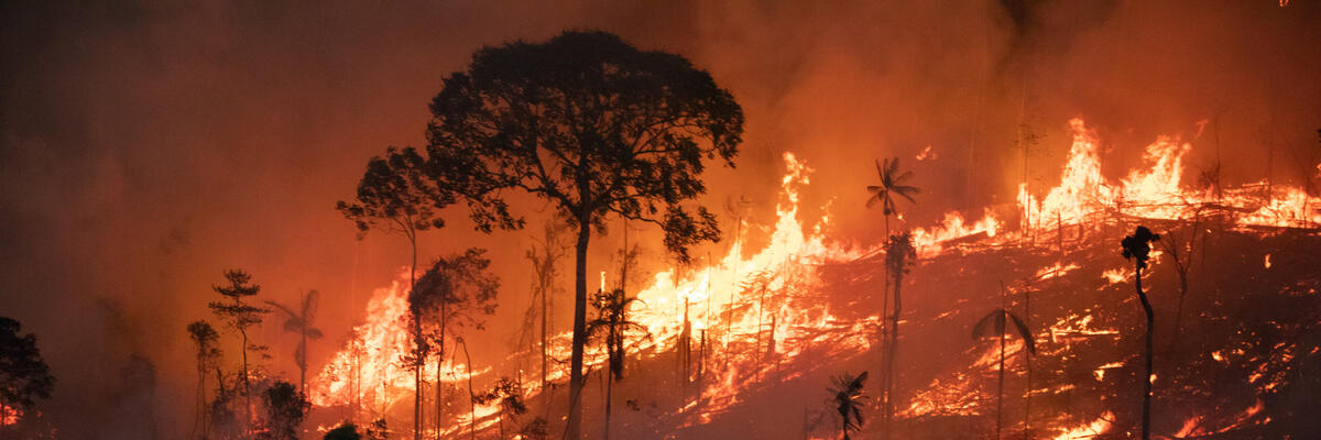 Mégafeu à Porto Velho (Brésil) en plein cœur de la forêt amazonienne en 2023