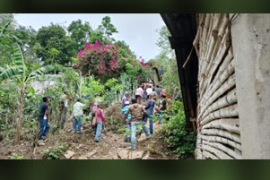 People are walking uphill, surrounded by trees.