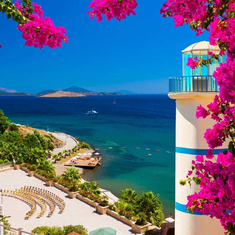 View Of A Sandy Beach Lapped By The Mediterranean, Shot Framed By Bougainvillea, Turkiye, Western Asia