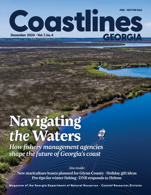 Coastlines Georgia - December 2024 cover