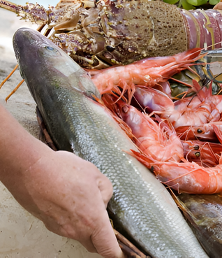 Le guide du WWF sur les produits de la mer