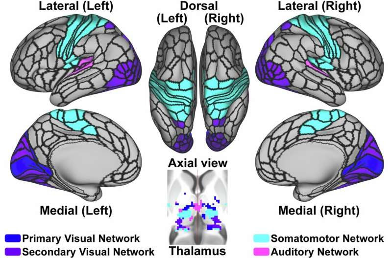 Researchers uncover potential new biomarker for psychosis diagnosis