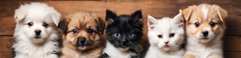 Decorative banner of puppies.