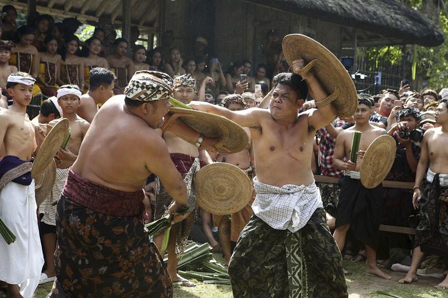 Balinese men fight each other using tied plants and shields woven from plants. There is also a crowd of people gathered to watch them.