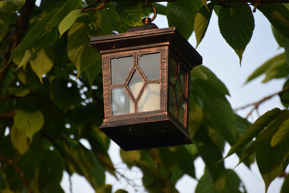 Lampião, Luz De Vela, Árvore