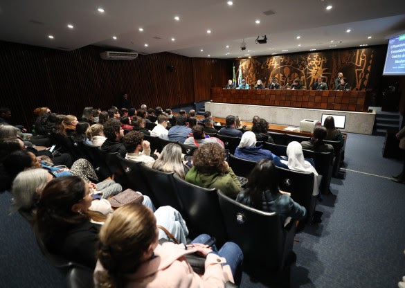 Audiência pública reforça necessidade de recursos e monitoramento para efetiva atuação das comunidades terapêuticas