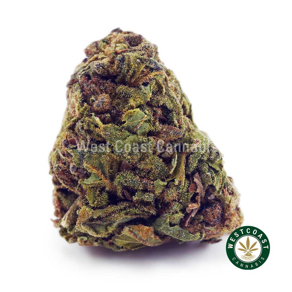 Image of Amnesia Haze AA - Green House