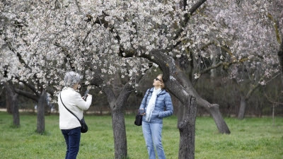 El plazo de reserva en las visitas Pasea Madrid abre este miércoles con Quinta de los Molinos como una de las novedades