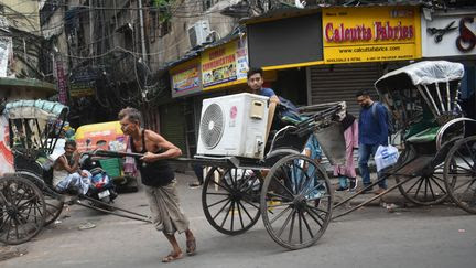 Crise climatique : le 21 juillet a été la journée la plus chaude jamais enregistrée dans le monde