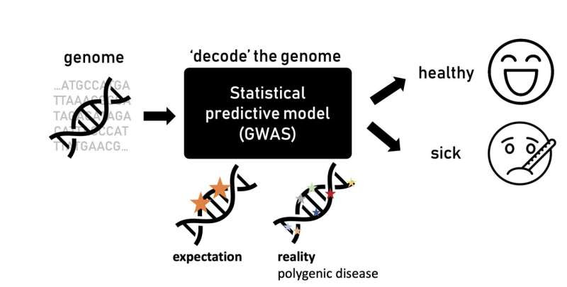 Understanding how mutations affect diseases