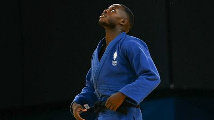 Judo aux JO de Paris 2024 : Maxime-Gaël Ngayap Hambou décroche le bronze chez les -90 kg