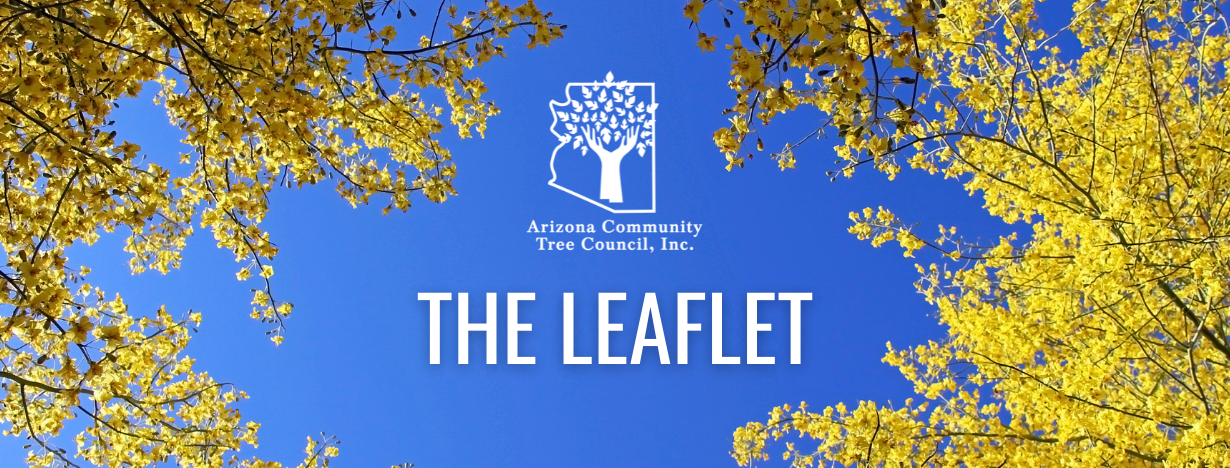 The Leaflet | Arizona Community Tree Council