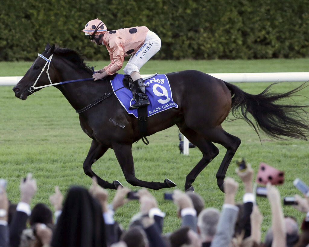 A black racehorse being ridden by a jockey in pink silks with black dots.