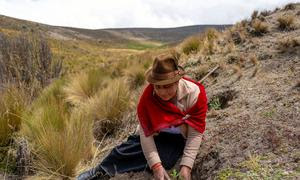 Una mujer ayuda a restaurar tierras degradadas en Ecuador.