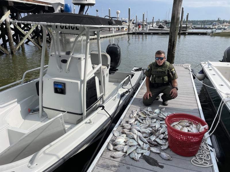 Ranger stooping next to a pile of undersized and over-the-limit fish on a dock