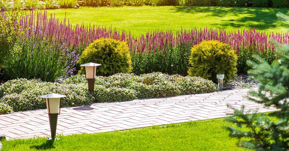 Commercial Landscaping Dubai