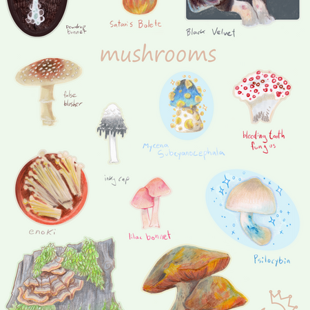 Mushrooms Sticker Sheet