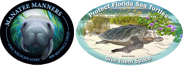 manatee and sea turtle decals 