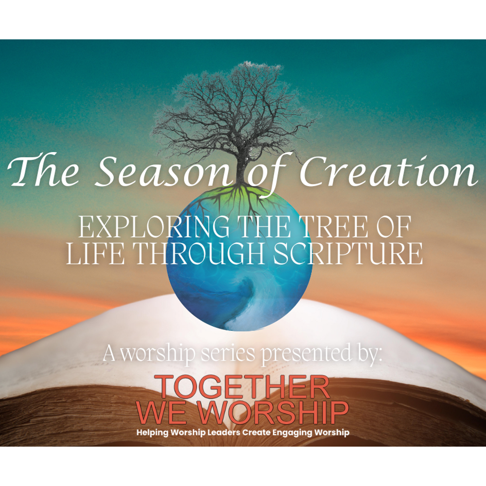 The Season of Creation: Exploring the tree of life through scripture