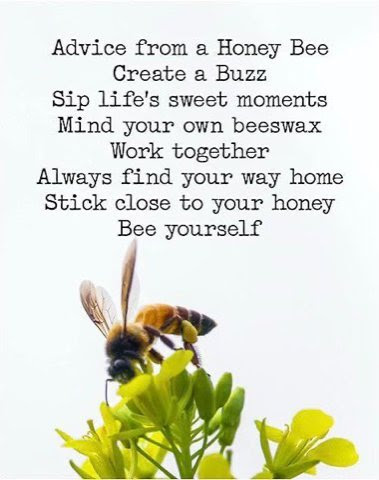 Bee-Yourself-Advice