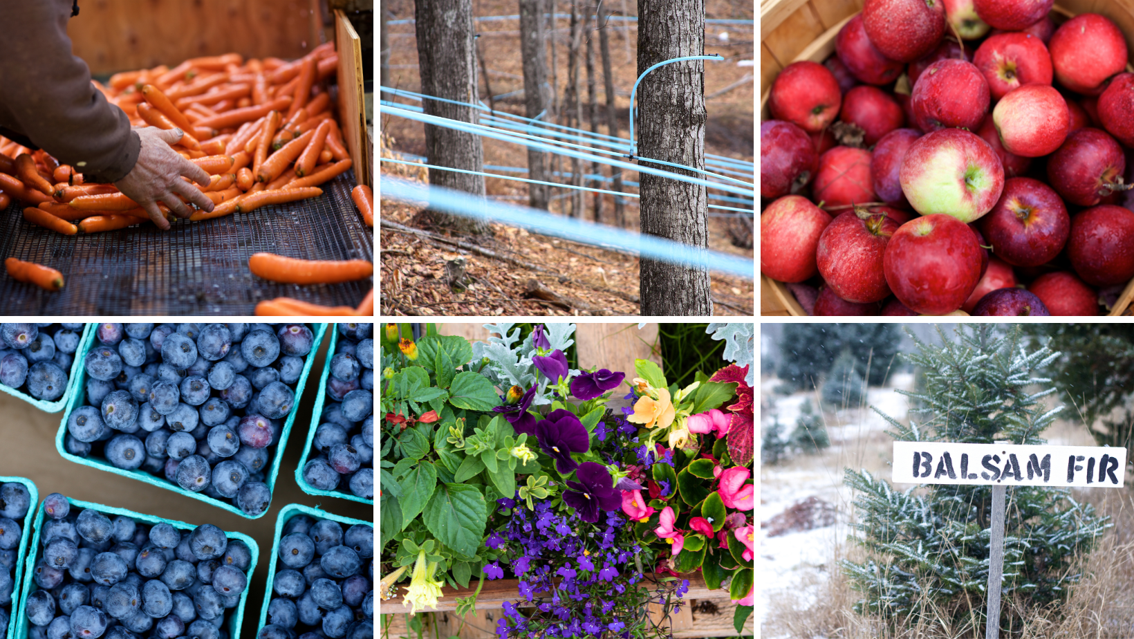 Specialty Crop Businesses Apply for 2 Billion in USDA Funds Vermont