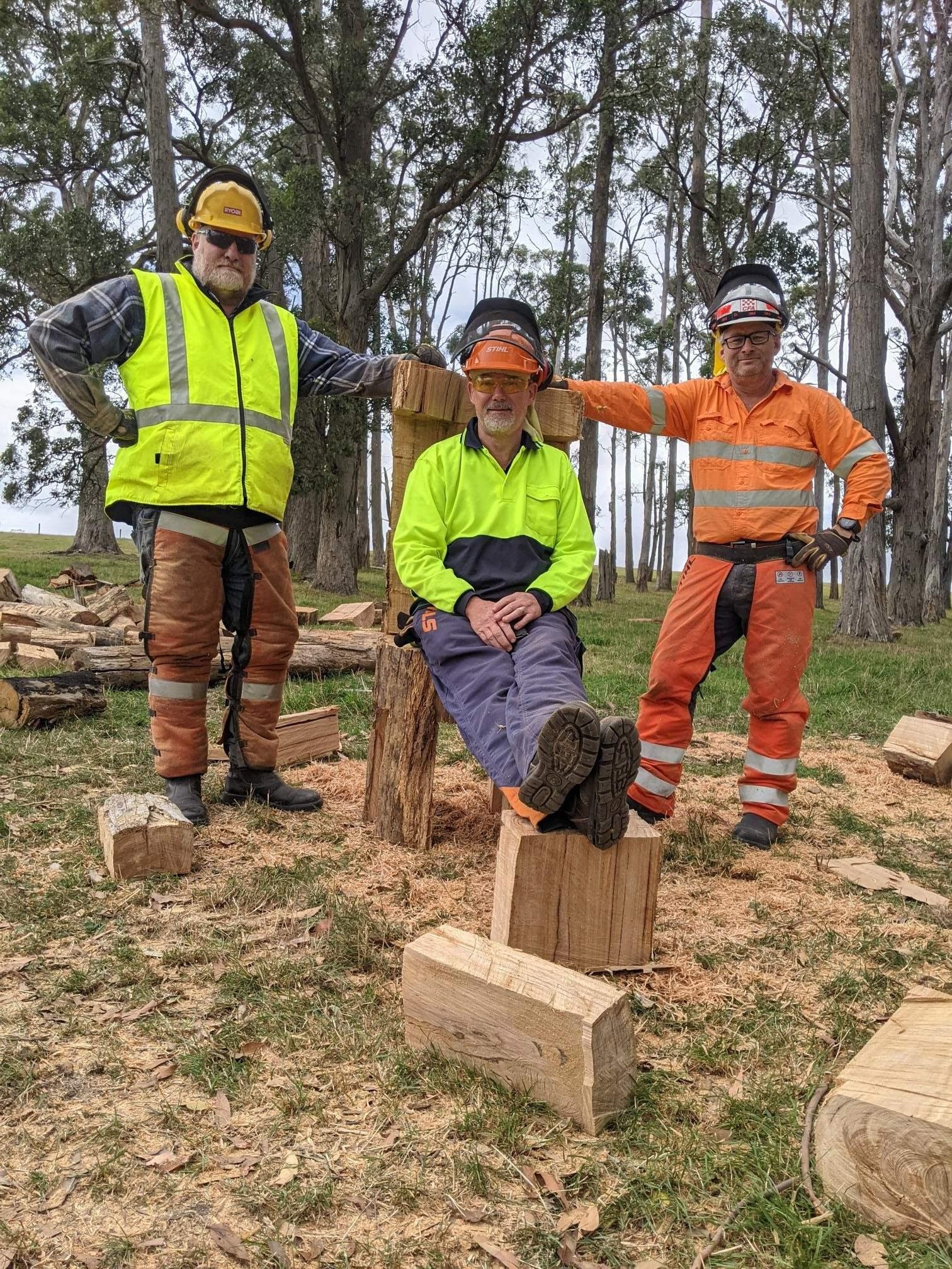 FWDV Chainsaw Course