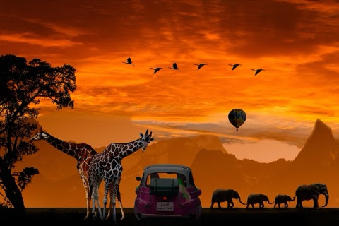 Giraffes-Orange-background-Hot-air-Balloon