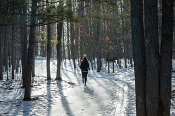 A runner makes her way up a snowy hill on the VASA Pathway on the east side of Traverse City in Grand Traverse County. 