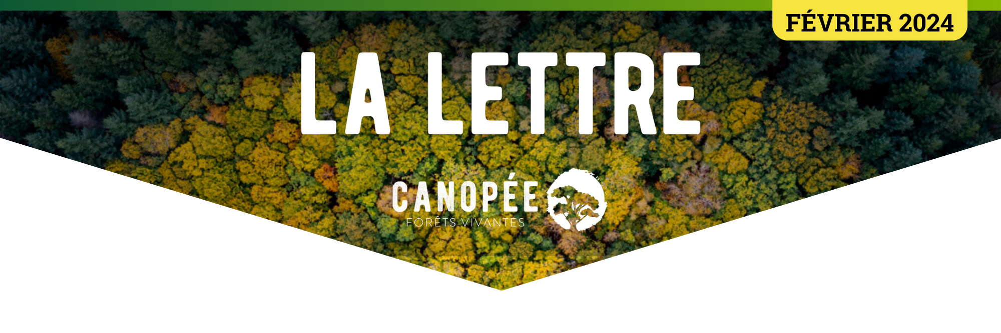 En-tête la lettre de canopée