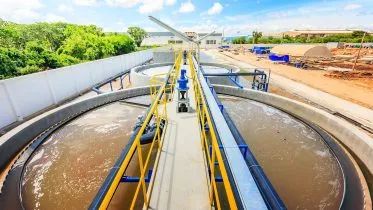 Wastewater Treatment Plant Sludge