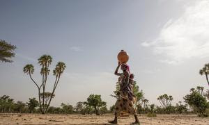 Una mujer lleva un bebé y un recipiente de agua mientras camina por tierras áridas en Níger.