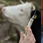 Texas Rancher Blows Whistle: Food Supply Spiked with mRNA Vaccines