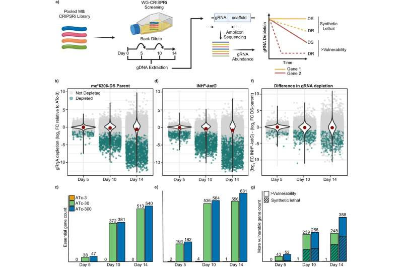 Study identifies 'Achilles heel' of drug-resistant pathogens