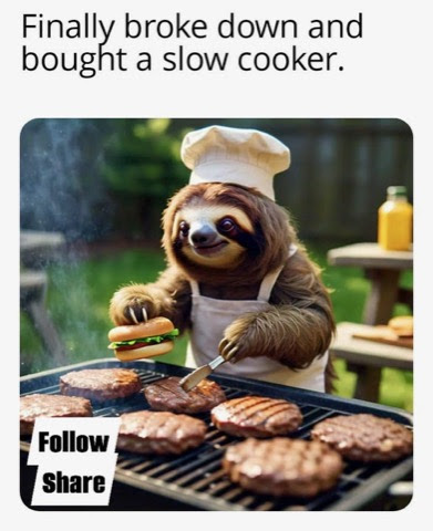 Joke-BBQ-Slow-Cooker