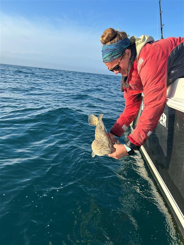 Gag grouper release