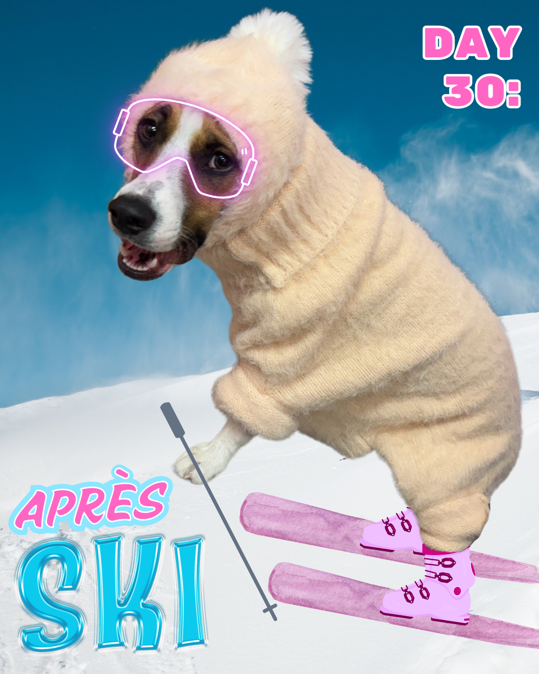 Day 30, apres ski dog costume