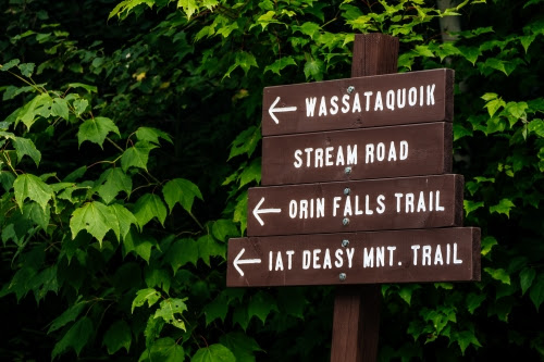A brown sign with hiking trails listed in white in front of leafy trees.