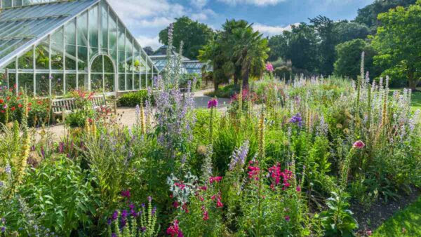 View of a glass building, a botanic garden, with lots of flowers growing outside.