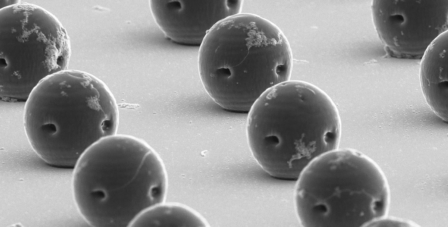 This scanning electron microscopy image of rows of the spherical hydrogel robots in this story clearly shows the two openings on each microrobot described in the piece.