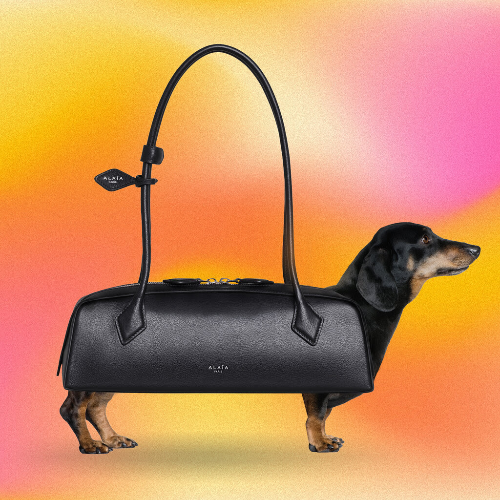 A photo illustration of a oblong-shaped handbag superimposed over a dacshund.