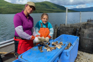 An adult and child sort oysters aboard a boat on calm water under partyly cloudy skies.