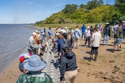 Living shoreline construction