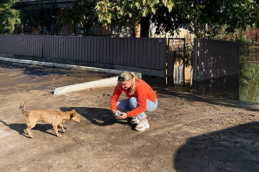 Un intervenant de Sava, soutenu par IFAW, nourrit un chien victime des inondations dans la région de Galati en Roumanie.© Sava’s Safe Haven