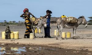 Mujeres recogiendo agua en Marsabit, al norte de Kenia (archivo). 