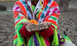 Los pueblos indígenas consideran fundamental vivir en armonía y equilibrio con la naturaleza.